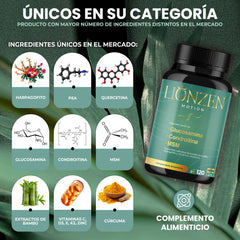 Lionzen Motion