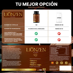 Lionzen Aura