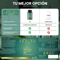 Lionzen Motion