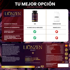 Lionzen Heart