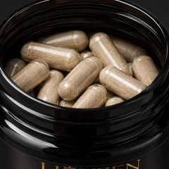 Lionzen Empower