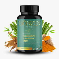Lionzen Motion
